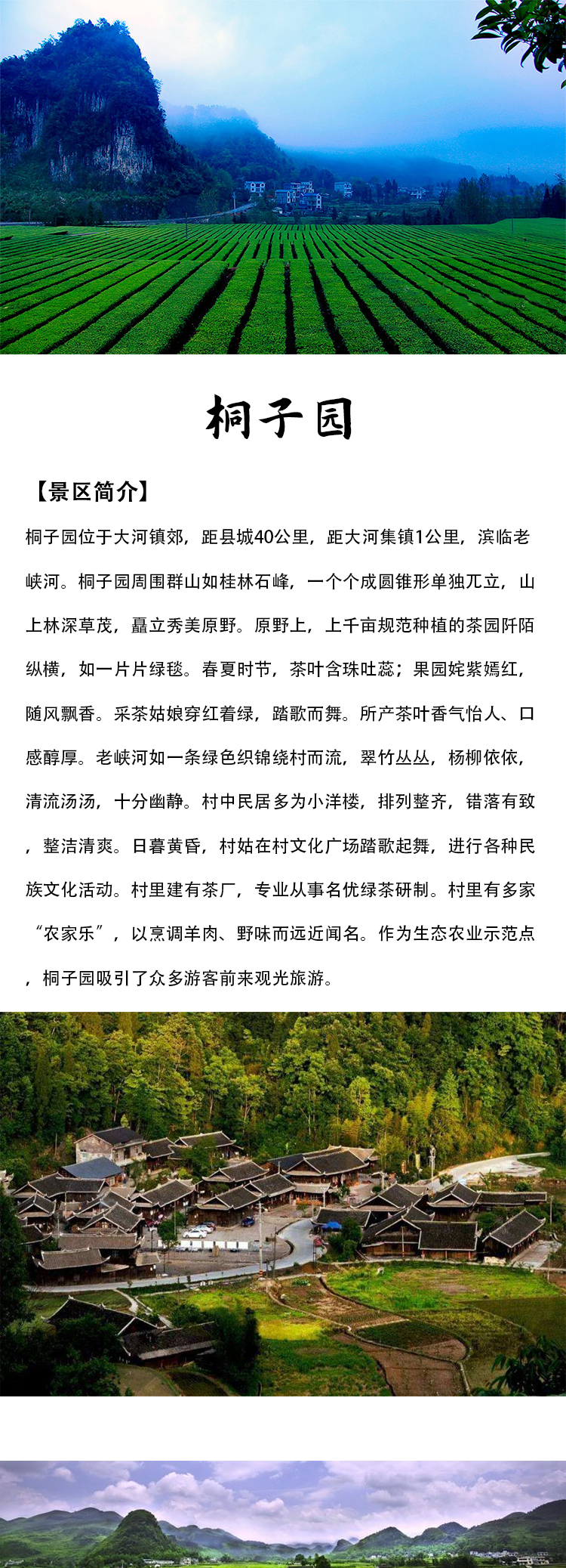 未标题-1_01