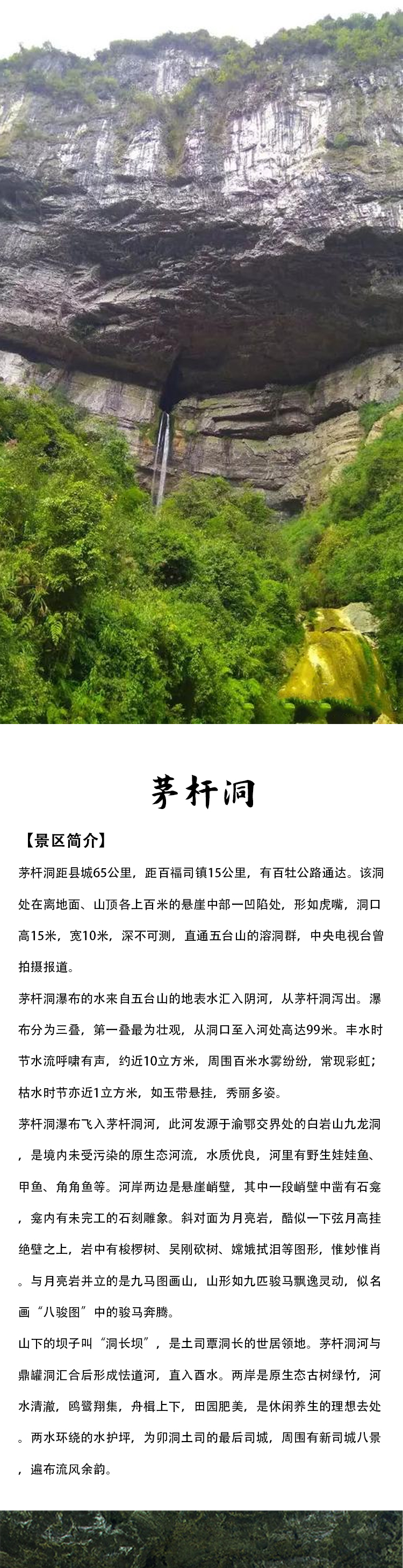 未标题-1_01